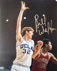Autographed BILL WALTON 16x20 UCLA Bruins Photo PSA/DNA Hologram - Picture 1 of 1