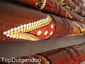 47" REPTILE HANDCRAFT DOT PAINTED Aborigin Didgeridoo - Picture 1 of 12