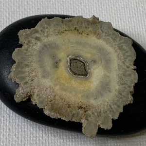 Amethyst Tropfstein Kristall Scheibe beidseitig poliert Las Torres Uruguay 1,5" - Bild 1 von 8