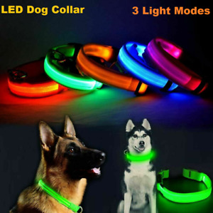 LED Light Up Dog Collar Adjustable USB Rechargeable Pet Safety Luminous 4 Sizes