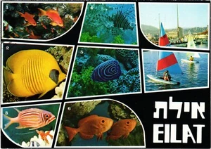 CPM AK Eilat recuerdo ISRAEL (1442544) - Imagen 1 de 2