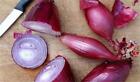 Italian Onion Cipolla Tropea Rossa Lunga, 75 Seeds, Hairy Bikers Onions on TV!