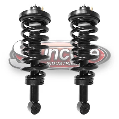 2003-2006 Ford Expedition Rear Air to Coil Springs & Struts Conversion Kit Foto 1 de 4