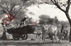 Picture Postcard:-Rajasthan, Farming Near Tilonia