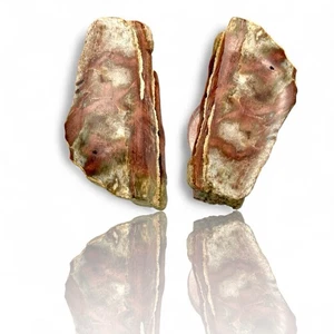 A Natural Opalized Petrified Wood Shard Pocket Size - Picture 1 of 7