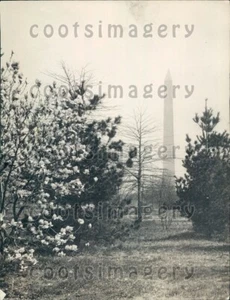1922 Stately Washington Monument in Spring Press Photo - Picture 1 of 1