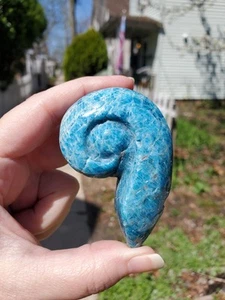 Video Blauer Apatit Muschel Schnitzerei Naturstein Kristall Quarz Ozean Strand Deko - Bild 1 von 5