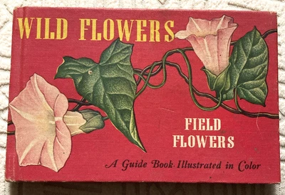 Vintage 1945 Small Wild Flowers /Field Flowers Illustrated Guide Book Excellent - Image 1 of 4