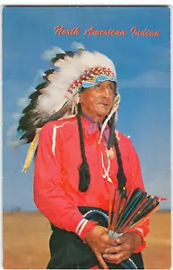 Postal de colección del jefe de los nativos americanos del suroeste de los años 60 de los indios norteamericanos - Imagen 1 de 2
