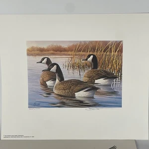 Pennsylvania Waterfowl Management Stamp Print Canadian Geese 1984 #2235 - Picture 1 of 4