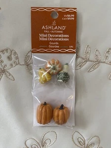 ZUCCHE MINIATURE AUTUNNALI ASHLAND THANKSGIVING ~ NUOVE IN CONFEZIONE SET DA 5 - Foto 1 di 2