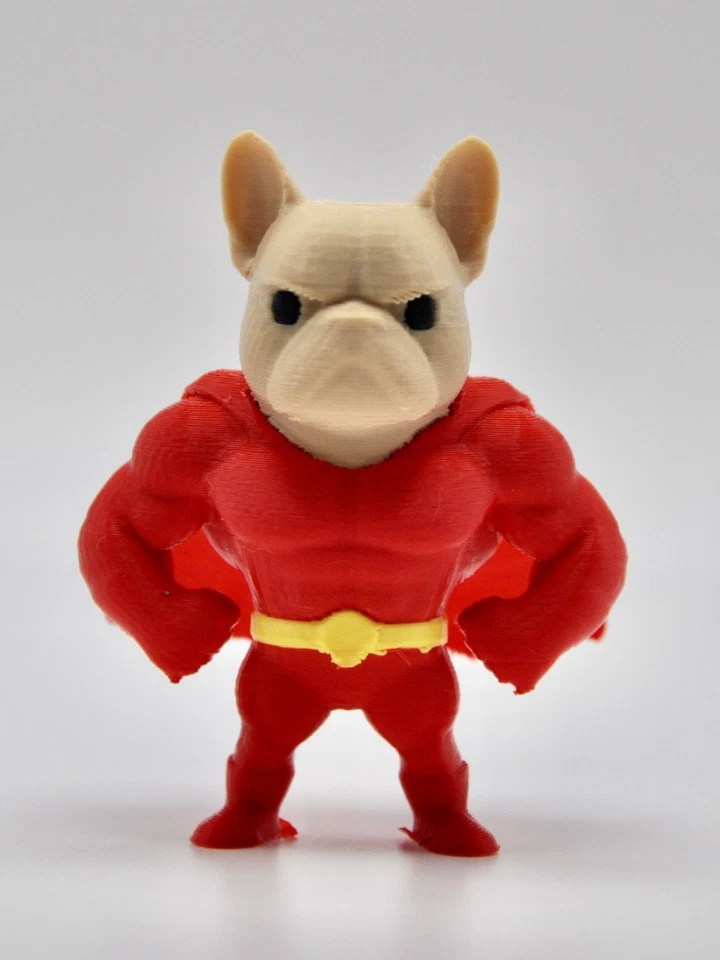 Superperro superhéroe perro toro francés Foto 1 de 1