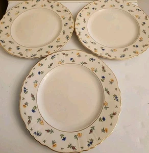 SET OF 3 Syracuse China SUZANNE Federal Shape 9 3/4" LUNCHEON PLATES - Picture 1 of 8