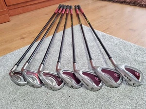 RAM Wizard II Irons*/5-9 SP/Reg Flex True Temper Steel Shafts Very Good Conditio - Picture 1 of 7