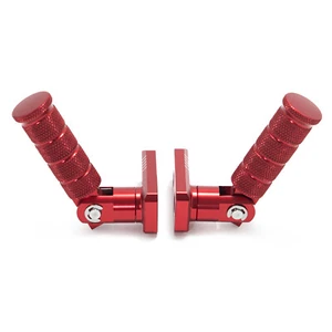 Aluminum E-Bike Stunt Foot Pegs Pedal for Apollo RFN for Beta Explorer Offroad - Bild 1 von 12