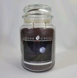 Rara CANDELA BARATTOLO Moonlit Bloom grande 24 oz 2 stoppini ritirata HTF - Foto 1 di 10