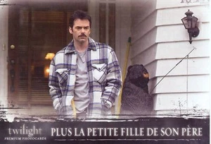 Carte TWILIGHT Fascination TOPPS N° 21 - Imagen 1 de 1
