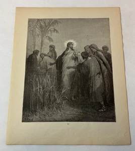 1889 Stampa Bibbia Gustave Dore ~ DISCEPOLI CHE SPENGONO IL GRANO DI SABATO - Foto 1 di 1