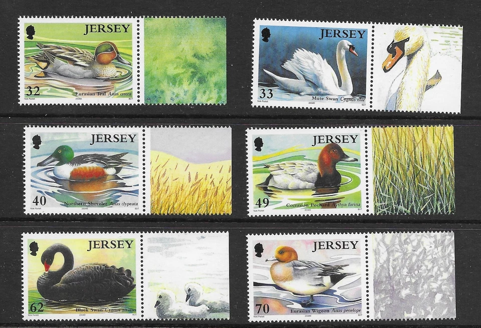 Jersey 2004 Ducks and Swans U/M (CI174) - Image 1 of 1