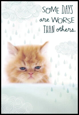 Tarjeta de felicitación - Gato gatito atigrado - Aliento - 0092 Foto 1 de 2