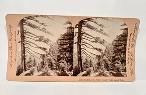 1897 Stereoview Card #5029 Looking Up the Valley, Yosemite Valley California USA - Foto 1 di 3