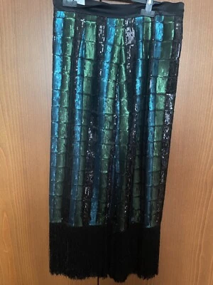 Falda midi con flecos de lentejuelas de estudio de Zara para mujer talla -M Foto 1 de 4