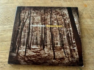 American Dream [Digipak] * by Taylor Haskins (CD, Jun-2010, Sunnyside... - Picture 1 of 2
