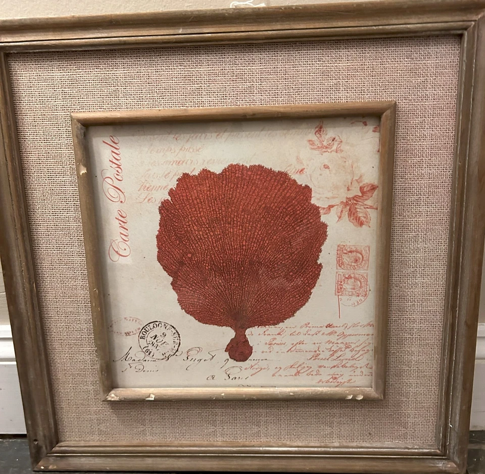 Red Shell - Print - In Frame - Image 1 of 1
