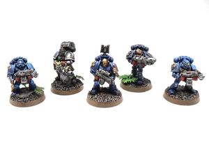 Marines Espaciales Sternguard x5 Escuadrón Puños Carmesí Bien Pintados Warhammer 40k - Imagen 1 de 13