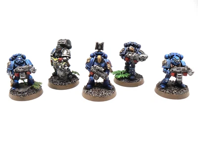 Space Marine Sternguard  x5 Squad Well Painted Crimson Fists Warhammer 40k - Image 1 of 4