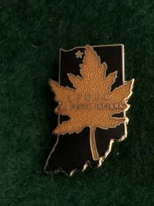 Vintage WBA Pin: LaPorte Indiana Bowling. Free Shipping! - Picture 1 of 2