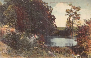 Postal OH: Tolerton's Park, Salem, Ohio, DB publicada 1909 - Imagen 1 de 3
