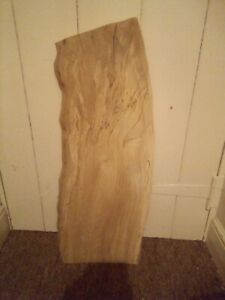 Board of Spalted Beech Wood for Art / Craft / Pyrography