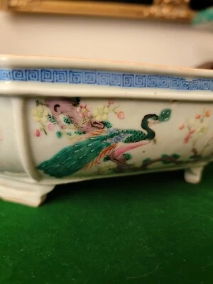 Антикварный фарфоровый семейный горшок с розой нарциссом конца 19 века начала 20 века... - Изображение 1 из 4