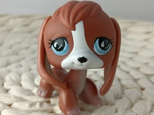 petshop authentic LPS chien Beagle Brown Dog rare #567 Aimant original hasbro - Imagen 1 de 3