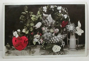 Postkarte Katze Kätzchen im Blumenkorb; Glastonbury Duplex 311 1909; Aristophot  - Bild 1 von 2