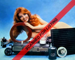 CASSANDRA PETERSON (ELVIRA) Early ad for Auto Parts 8x10 PHOTO #8353 - Picture 1 of 1