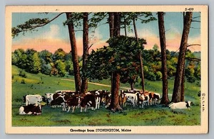 Stoningtom Maine ME Grüße Kuh Rinder Farm Szene Vintage Leinen Postkarte 1941 - Bild 1 von 2