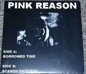 Pink Reason~ Borrowed Time/Scared Shitless post punk indie 45 rpm - Picture 1 of 3