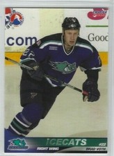 2001-02 Worcester IceCats (AHL) Brad Voth