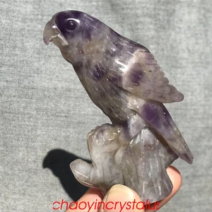 0.3LB Natural Dreamy Amethyst parrot Skull Quartz Crystal Carved giftXK1423-05-A - Picture 1 of 10