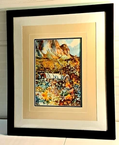 Raleigh Kinney Watercolor Art Print "Gone Too Soon" Hand signed 10/200 Southwest - Picture 1 of 17