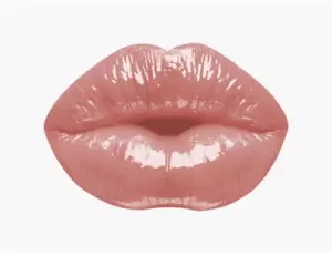 NUEVO EN CAJA LÁPIZ LABIAL LÍQUIDO DE ALTO BRILLO KARITY THE GLOSS *FIN DE SEMANA* CÁLIDO DESNUDO DXD EN MUY BUEN ESTADO - Imagen 1 de 8