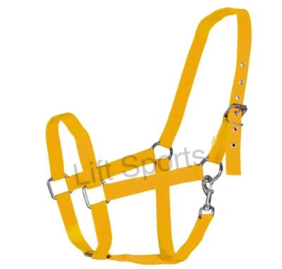 Halter Caballo Nylon Tamaño Completo Ajustable Tack Shows Ecuestre Nuevo  Foto 1 de 4