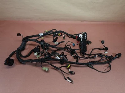 2018 17-21 Ducati Multistrada 950 主线束线织机 — 第 1/4 张图片