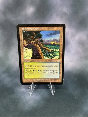 Yavimaya Coast Apocalypse Regular - Image 1 of 2