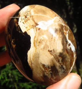 FUDGE SWIRL CHOCOLATE BROWN BLACK OPAL GEM GRADE CRYSTAL PALMSTONE MADAGASCAR *6 - Picture 1 of 12