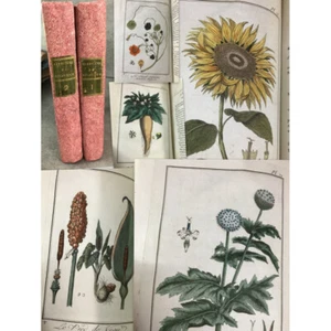 De Botánico De Uso De Commencans, 157 Tablas Mejorado En Hunde - Imagen 1 de 12