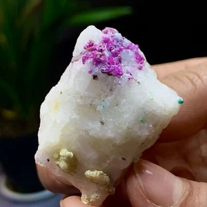 35G Natural high-quality Amethyst agate quartz cluster slice crystal mineral - Picture 1 of 13