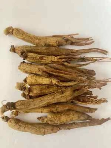 Ginseng | Raíz Panax | 8 años | Ginseng Rojo | Grande y Grueso SIN PESTICIDAS - Imagen 1 de 6